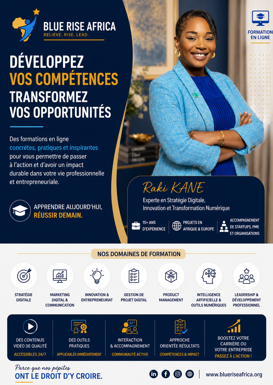 PMO gouvernance et pilotage de programmes Blue Rise Africa